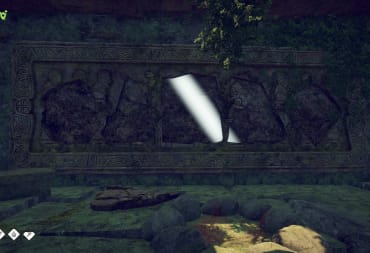 image of a broken wall carving in Survival Fountain of Youth